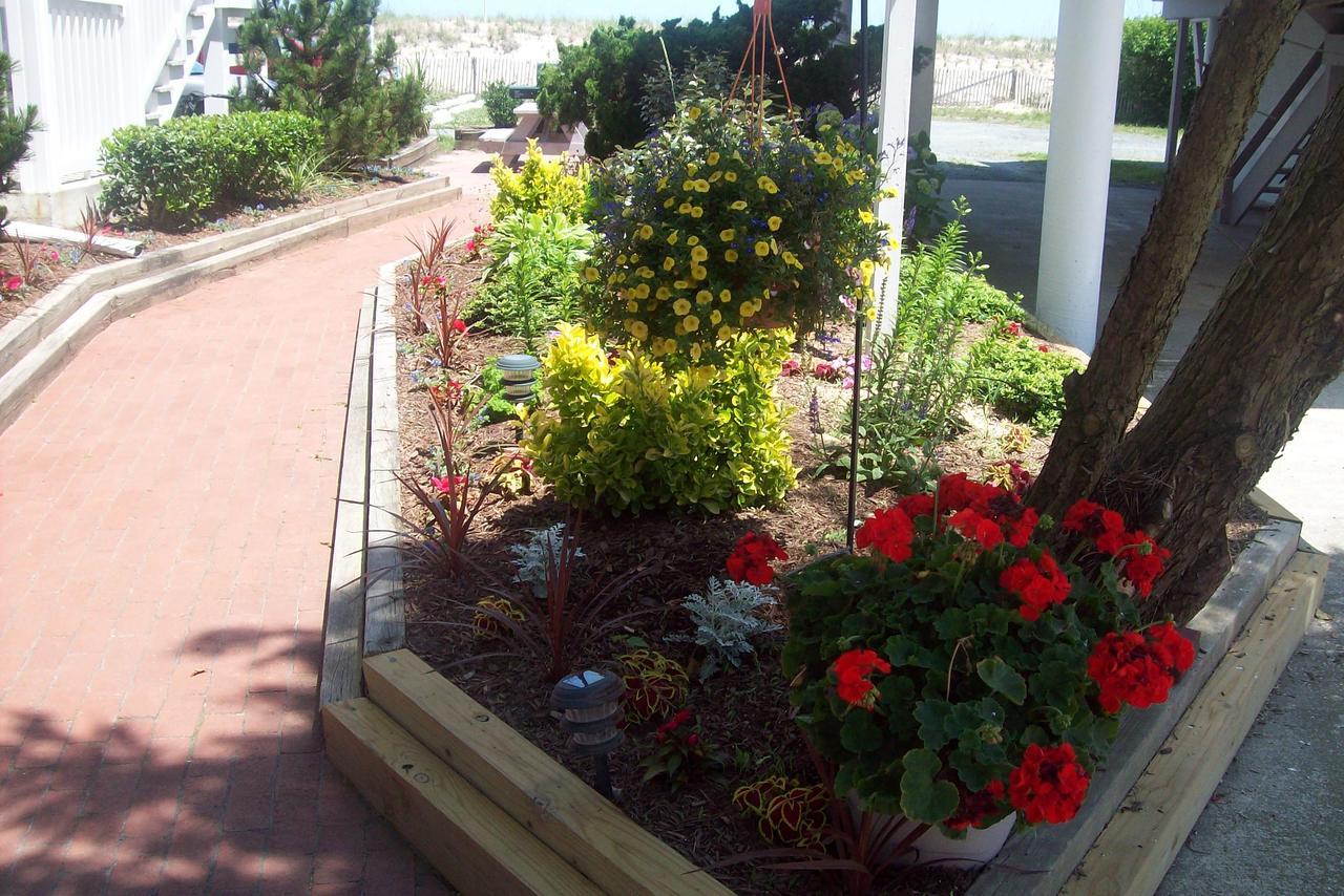 شاطئ ديوي Adams Ocean Front Resort المظهر الخارجي الصورة